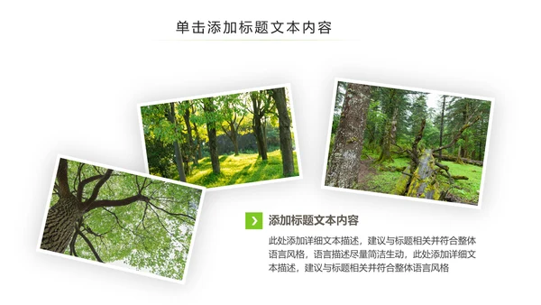 绿色环保森林湿地环境保护生态森林业PPT模板