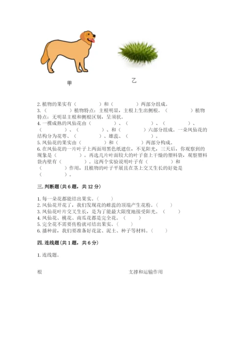 科学四年级下册第一单元《植物的生长变化》测试卷附完整答案【名师系列】.docx