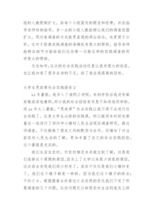 大学生思政课社会实践报告_2.docx