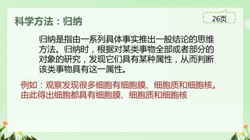 人教版（2024）七年级上册1.2.3 动物细胞 课件(共26张PPT)