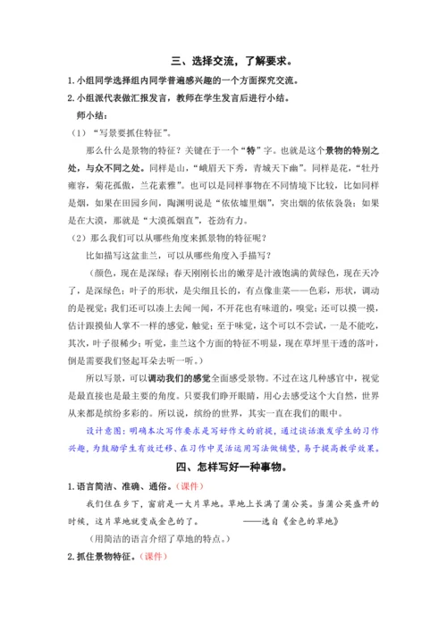 习作：我们眼中的缤纷世界
