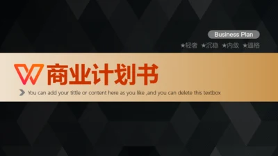 黑金质感商务大气商业创业计划书通用PPT模板