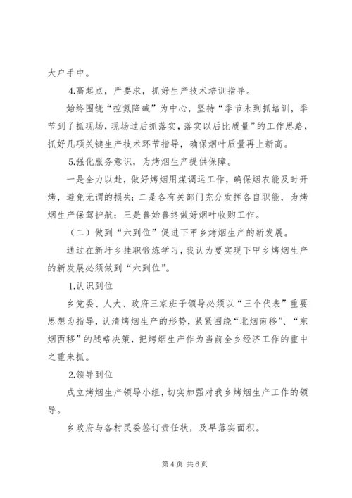 乡镇领导干部挂职工作总结.docx