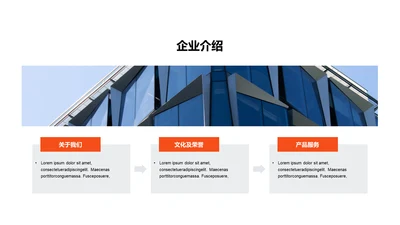 单色扁平3项企业介绍