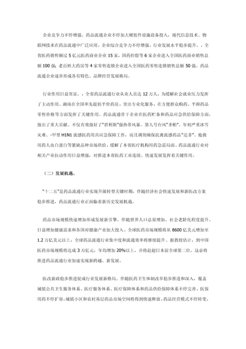 湖南省药品流通行业发展规划方案.docx