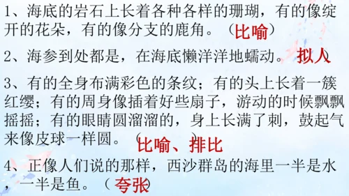 18.富饶的西沙群岛   课件