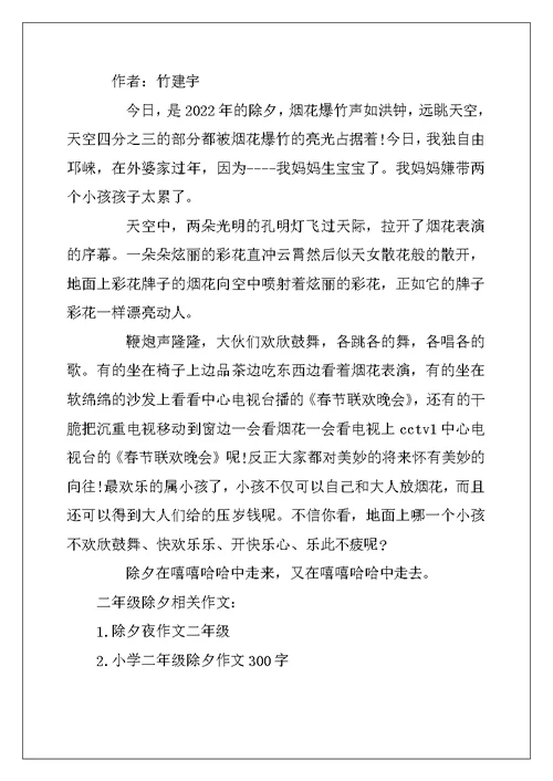 2022年二年级作文除夕600字精选