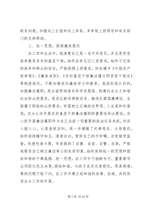 人民政府副乡长个人述职述廉报告.docx