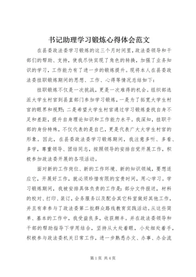 书记助理学习锻炼心得体会范文.docx