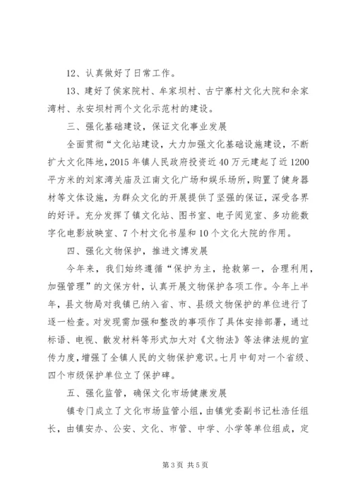 乡镇文化站年度文化活动工作总结.docx