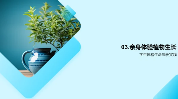 植物生长与生命尊重