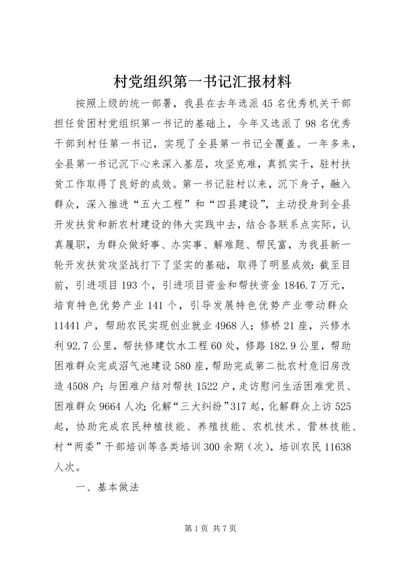 村党组织第一书记汇报材料.docx