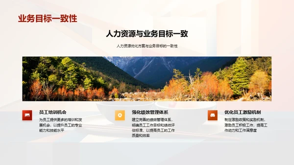 优化人力资源策略