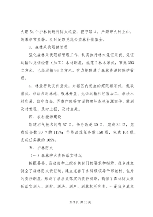 林业站年终总结及XX年工作计划.docx