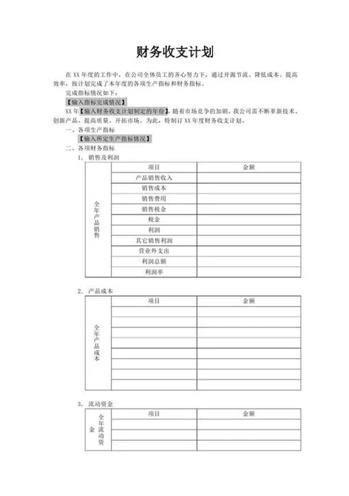 财务收支计划-Word范文