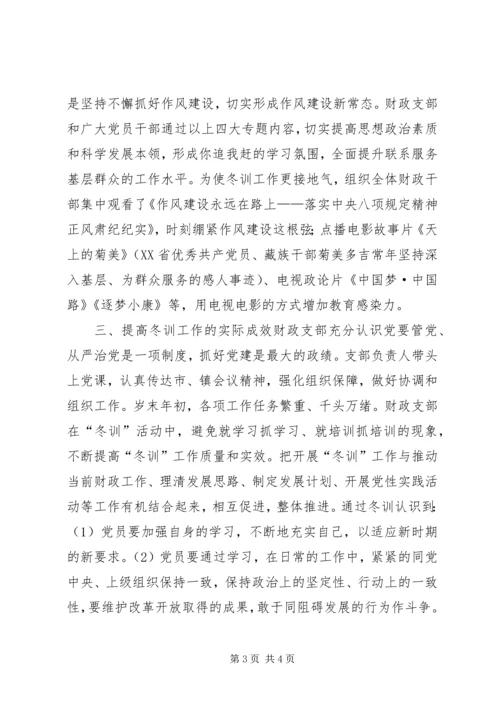 乡镇财政所党支部冬训工作总结.docx