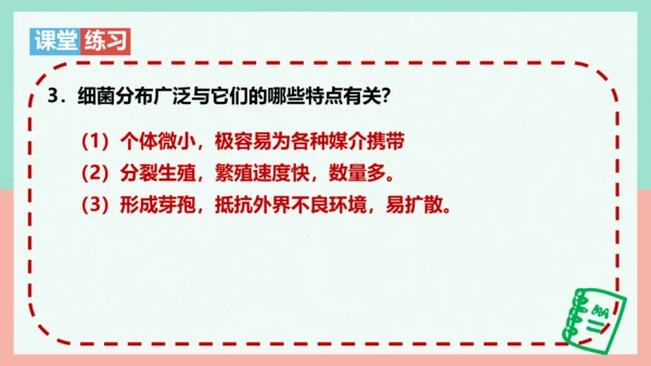 5.4.2  细菌  课件-人教版生物八年级上册(共39张PPT)