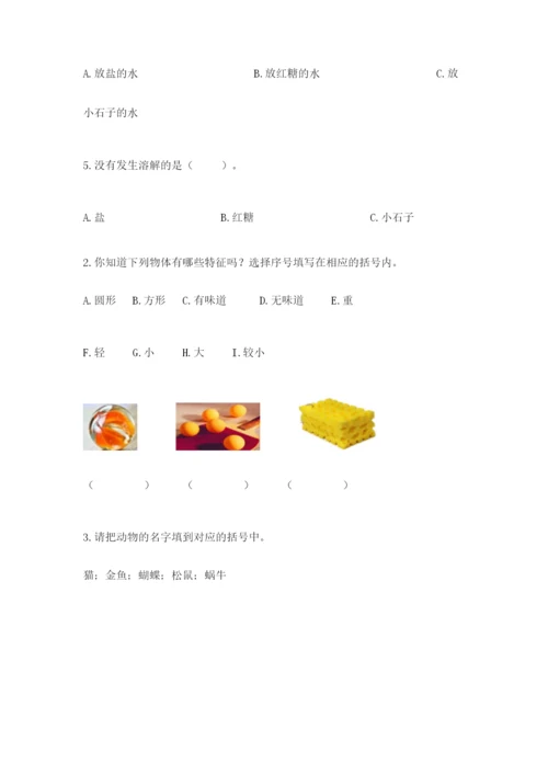 教科版小学科学一年级下册期末测试卷含答案（培优b卷）.docx