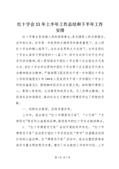 红十字会XX年上半年工作总结和下半年工作安排 (2).docx