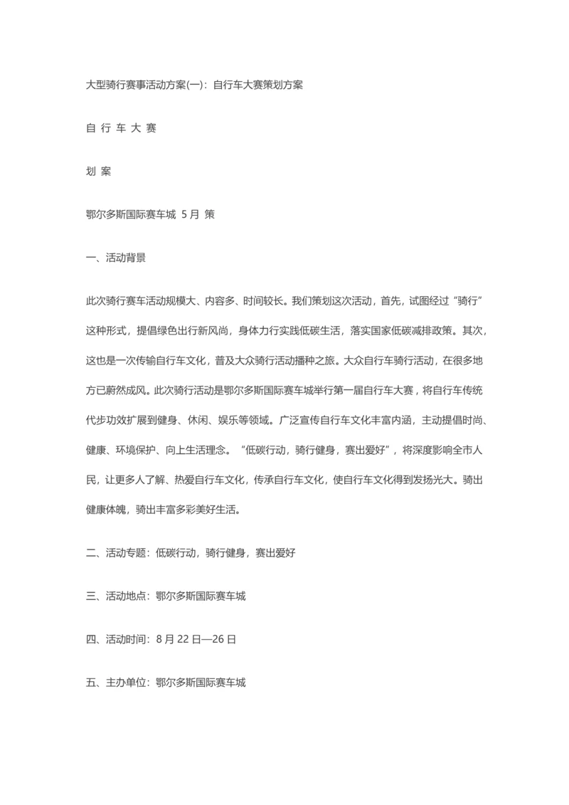 大型骑行赛事活动专业方案.docx