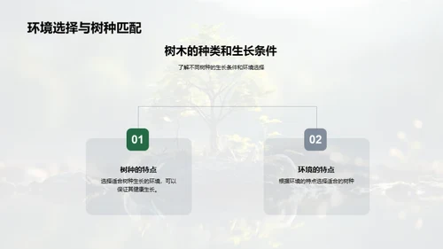 植树环保的探究