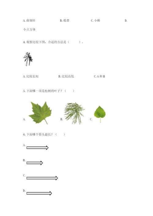 教科版一年级上册科学期末测试卷附参考答案【轻巧夺冠】.docx