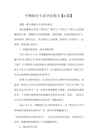 中期报告专家评估要点.docx
