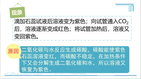 实验活动2 二氧化碳的实验室制取与性质