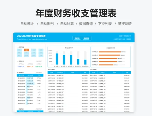 年度财务收支管理表