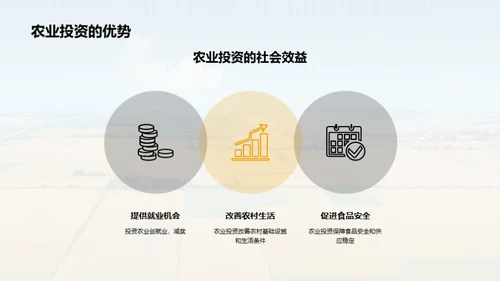 农业企业的可持续发展