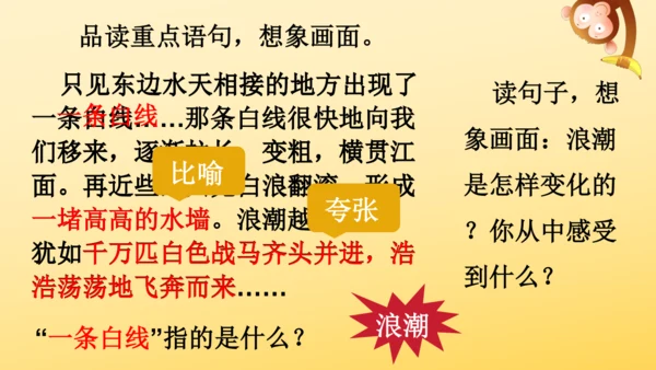 1 观潮   课件