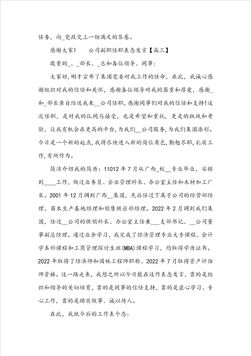 公司副职任职表态发言