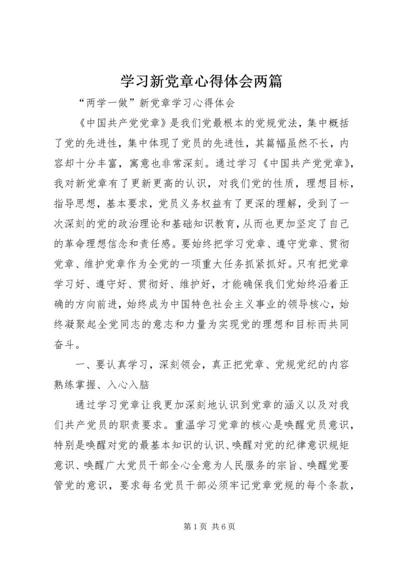 学习新党章心得体会两篇 (3).docx