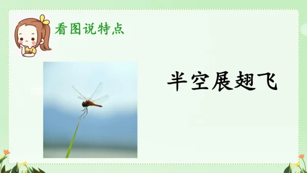 识字（二）5动物儿歌（课件）