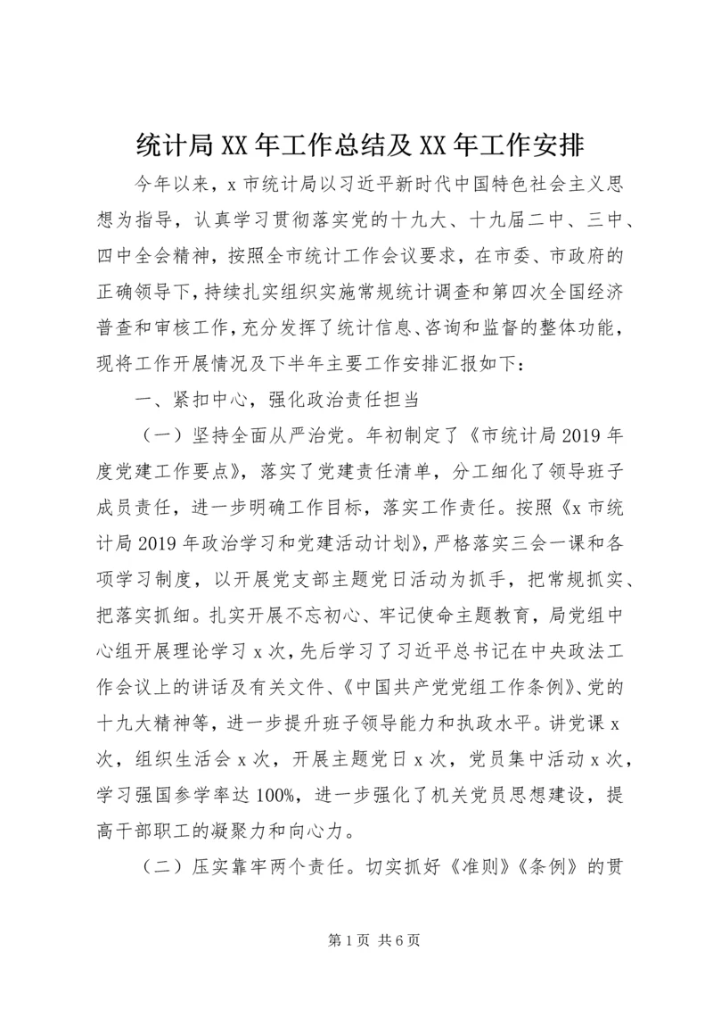 统计局XX年工作总结及XX年工作安排 (2).docx