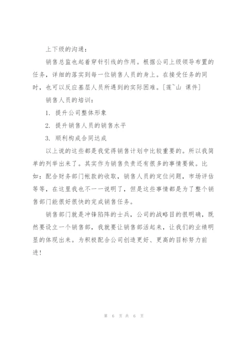 销售总监月工作计划.docx