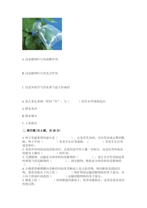 科学四年级下册第一单元《植物的生长变化》测试卷带答案（培优b卷）.docx