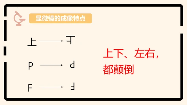 2.1.1练习使用显微镜课件2023--2024学年人教版生物七年级上册(共32张PPT)