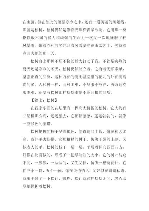 借物喻人的作文600字松树.docx