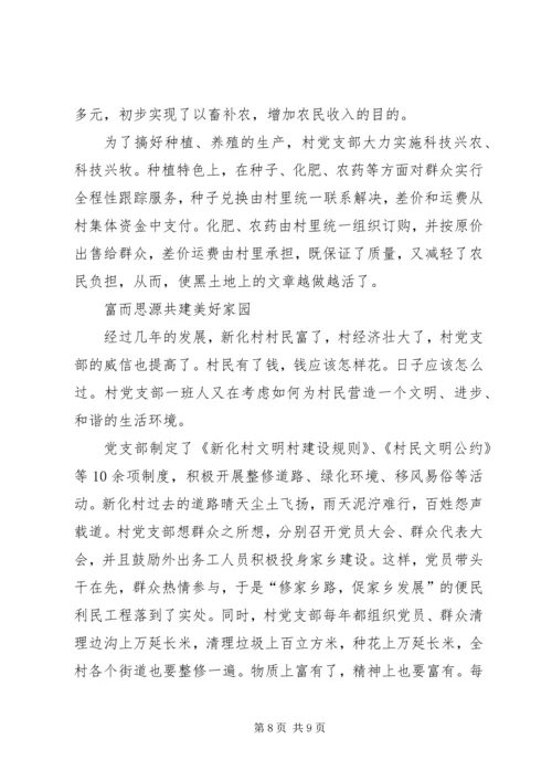 村党支部典型事迹 (2).docx