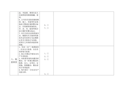 安全生产重点标准化回头看检查表.docx