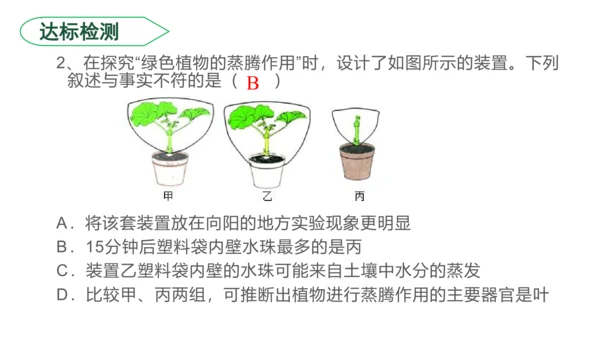 3.3 绿色植物与生物圈的水循环（课件）七年级生物上学期（人教版）(共25张PPT)