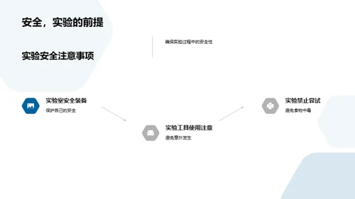 探索科学 实践学习