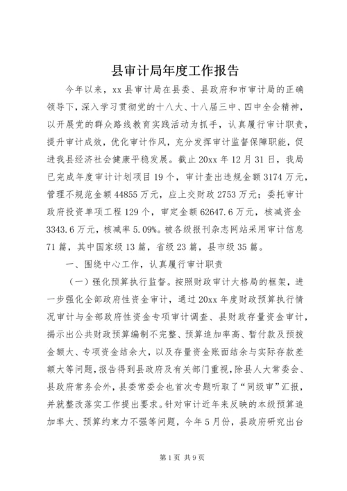 县审计局年度工作报告 (2).docx