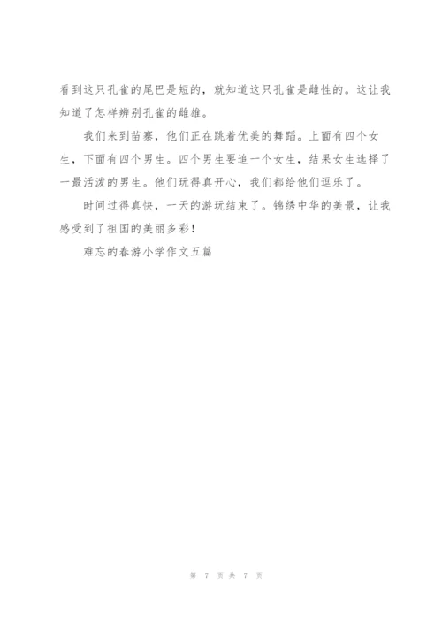 难忘的春游小学作文五篇.docx