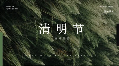 绿色大气清新绿植清明节主题PPT模板