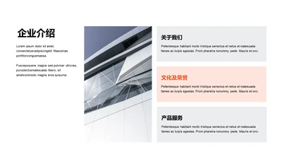 单色扁平3项企业介绍