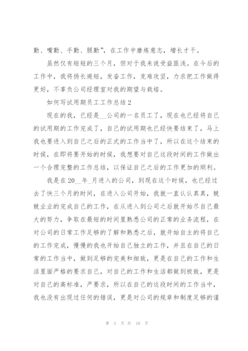 如何写试用期员工工作总结5篇.docx