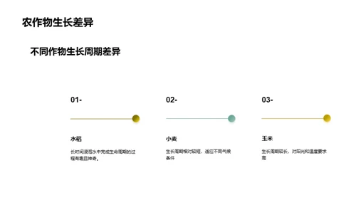 农作物生长过程与环境因素