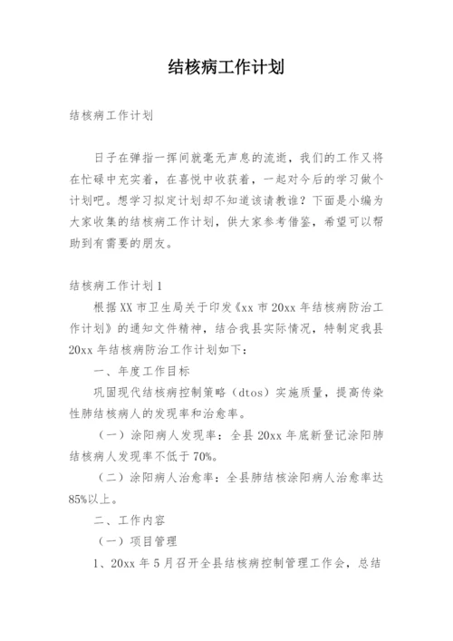 结核病工作计划.docx